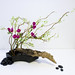 Shelli Flowers Photo 6