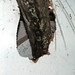 Larry Powers Photo 21