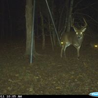 Randall Stanley Photo 9