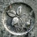 Alonzo Flowers Photo 7