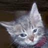 Kathleen Stringer Photo 20