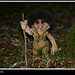 Edward Schulze Photo 12