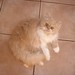 Patricia Sutton Photo 51