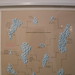 Gregory Lind Photo 6