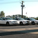Victoria Washington Photo 31