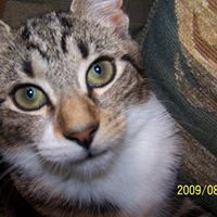 Jeanne Walter Photo 22