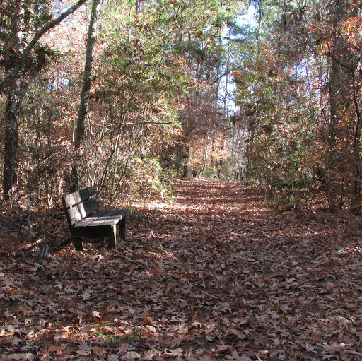 Robert Shackleford Photo 21