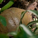 Shelley Freed Photo 8