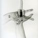 Nancy Gossman Photo 8