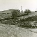 Herbert Houston Photo 11