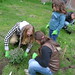 Debra Haag Photo 8