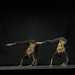 Lucia Russo Photo 27