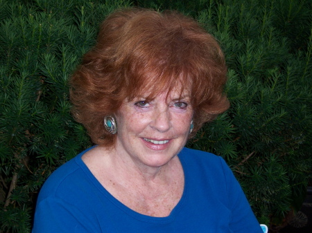 Susan Clay Photo 17
