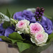 Marie Blum Photo 9