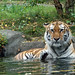 Mary Fulks Photo 10