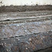 Richard Ernst Photo 9