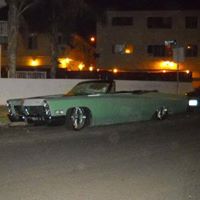 Steven Noyes Photo 7