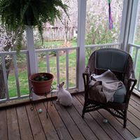 Debbie Ayres Photo 11