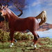 Sarah Wellman Photo 16