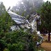 Sean Kern Photo 22