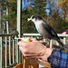 Jay Dawes Photo 16