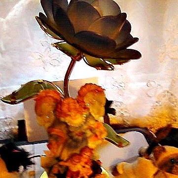 Vickie Morton Photo 27