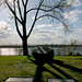 Sheila Calhoun Photo 23