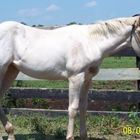Debbie Huffman Photo 9