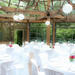 Julie Stringer Photo 16
