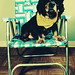 Jacob Wiener Photo 10