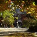 Dennis Griggs Photo 20
