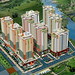 Tri Hoang Photo 26