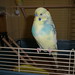 Meg Sawyer Photo 16