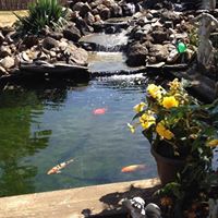 Linda Mcgrew Photo 2