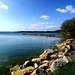 Edith Waters Photo 9