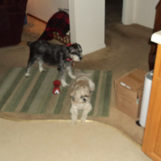 Barbara Stephenson Photo 9