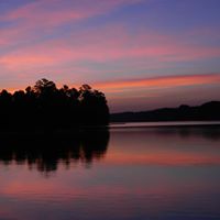 Tracy Baxley Photo 8