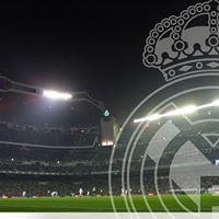 Mohammadreza Gholami Photo 8