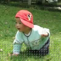 Chi Lo Photo 34