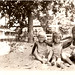 Carol Harvey Photo 11