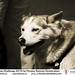 Jason Foundas Photo 5