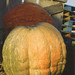 Tony Dunlap Photo 8