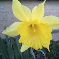 Nancy Richman Photo 25