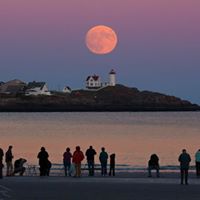 Gail Nicholson Photo 16
