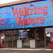 Walter May Photo 14