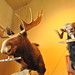 Jennie Lindstrom Photo 6
