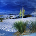 Lisa Stegall Photo 15
