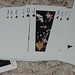 Jay Card Photo 14