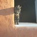 Susan Pickard Photo 24