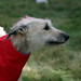 Doug Skinner Photo 29